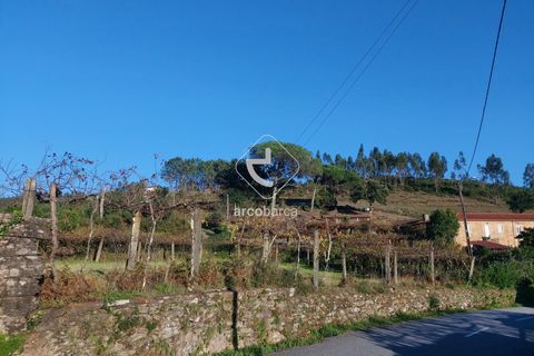 Terra a Ponte de Lima, Viana do Castelo, Ponte de Lima - € 37.500 | Ref: AV6158 - foto 16