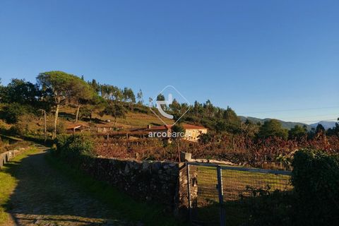 Terra a Ponte de Lima, Viana do Castelo, Ponte de Lima - € 37.500 | Ref: AV6158 - foto 17