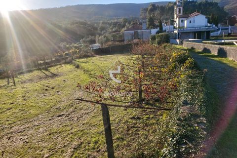 Terra a Ponte de Lima, Viana do Castelo, Ponte de Lima - € 37.500 | Ref: AV6158 - foto 18