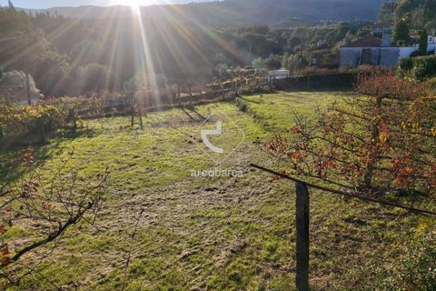 Terra a Ponte de Lima, Viana do Castelo, Ponte de Lima - € 37.500 | Ref: AV6158 - foto 19