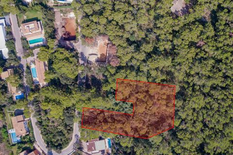 Terra a Port De Pollenca, Mallorca, Port De Pollenca - € 1.000.000 | Ref: PTP0611 - foto 2