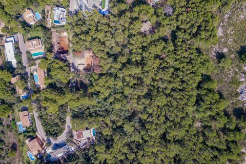 Terra a Port De Pollenca, Mallorca, Port De Pollenca - € 1.000.000 | Ref: PTP0611 - foto 3