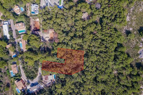 Terra a Port De Pollenca, Mallorca, Port De Pollenca - € 1.000.000 | Ref: PTP0611 - foto 4