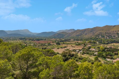 Terra a Port De Pollenca, Mallorca, Port De Pollenca - € 1.000.000 | Ref: PTP0611 - foto 9
