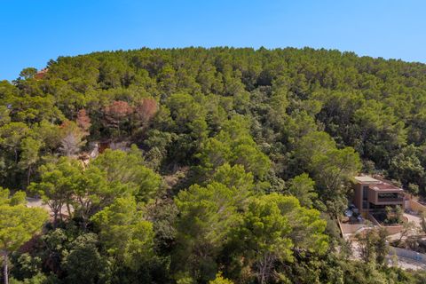 Terra a Port De Pollenca, Mallorca, Port De Pollenca - € 1.000.000 | Ref: PTP0611 - foto 10