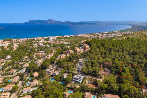 Terra a Port De Pollenca, Mallorca, Port De Pollenca - € 1.000.000 | Ref: PTP0611 - foto 13