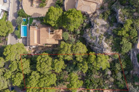 Helårsgrund i Port De Pollenca, Mallorca, Port De Pollenca - € 1.250.000 | Ref: PTP0610 - foto 10