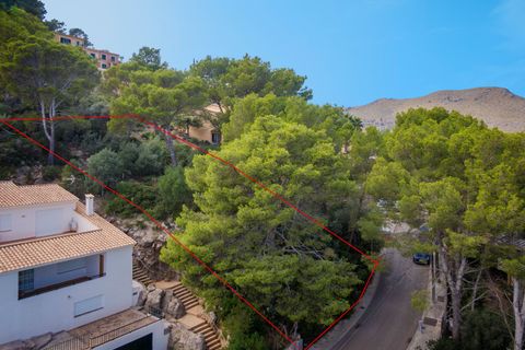 Helårsgrund i Port De Pollenca, Mallorca, Port De Pollenca - € 1.250.000 | Ref: PTP0610 - foto 14