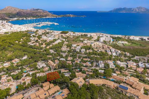 Terra a Port De Pollenca, Mallorca, Port De Pollenca - € 1.500.000 | Ref: PTP0609 - foto 5