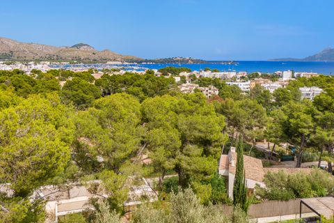 Terra a Port De Pollenca, Mallorca, Port De Pollenca - € 1.500.000 | Ref: PTP0609 - foto 6