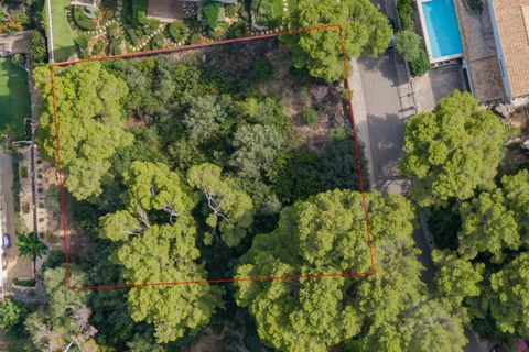 Terra a Port De Pollenca, Mallorca, Port De Pollenca - € 1.500.000 | Ref: PTP0609 - foto 9