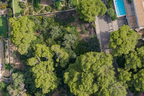 Terra a Port De Pollenca, Mallorca, Port De Pollenca - € 1.500.000 | Ref: PTP0609 - foto 10