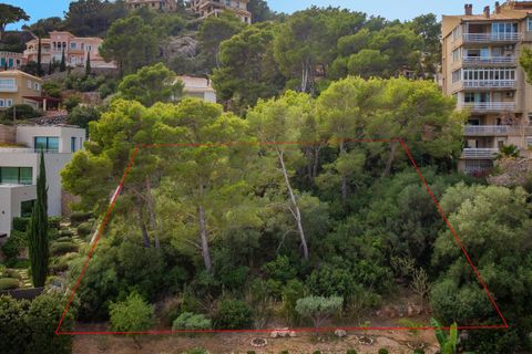 Terra a Port De Pollenca, Mallorca, Port De Pollenca - € 1.500.000 | Ref: PTP0609 - foto 13