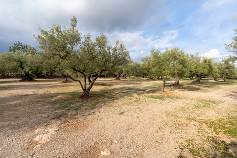 Finca i Ulldecona, Tarragona, Ulldecona - € 39.000 | Ref: 136 - foto 20