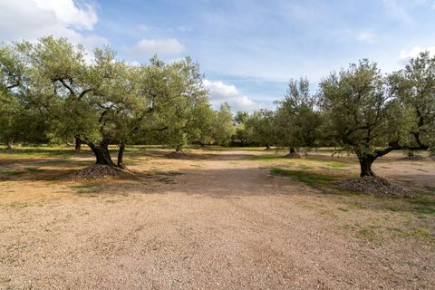 Finca i Ulldecona, Tarragona, Ulldecona - € 39.000 | Ref: 136 - foto 15