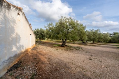 Finca i Ulldecona, Tarragona, Ulldecona - € 39.000 | Ref: 136 - foto 4