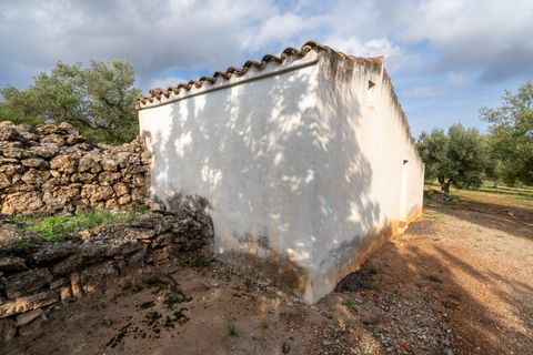 Finca i Ulldecona, Tarragona, Ulldecona - € 39.000 | Ref: 136 - foto 10