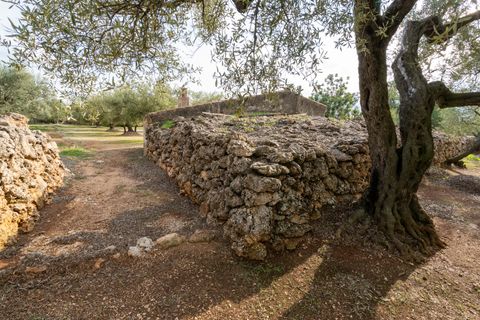 Finca i Ulldecona, Tarragona, Ulldecona - € 39.000 | Ref: 136 - foto 14