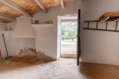 Finca i Ulldecona, Tarragona, Ulldecona - € 39.000 | Ref: 136 - foto 9