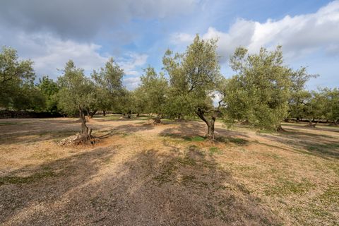 Finca i Ulldecona, Tarragona, Ulldecona - € 39.000 | Ref: 136 - foto 19