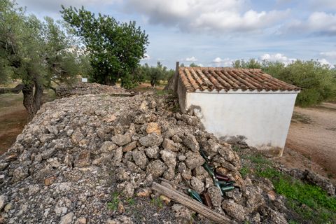 Finca i Ulldecona, Tarragona, Ulldecona - € 39.000 | Ref: 136 - foto 12