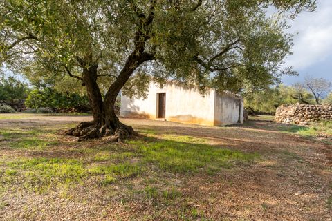 Finca i Ulldecona, Tarragona, Ulldecona - € 39.000 | Ref: 136 - foto 3