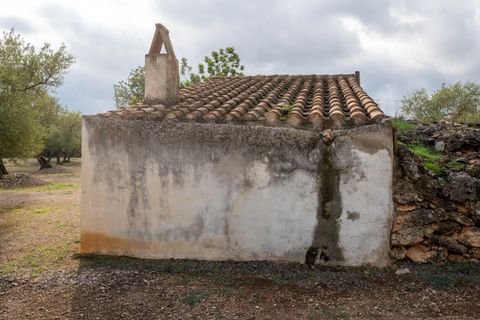 Finca i Ulldecona, Tarragona, Ulldecona - € 39.000 | Ref: 136 - foto 13