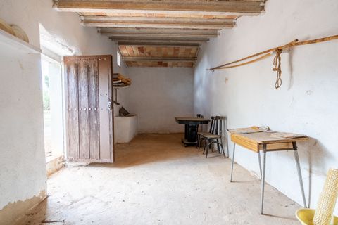 Finca i Ulldecona, Tarragona, Ulldecona - € 39.000 | Ref: 136 - foto 8