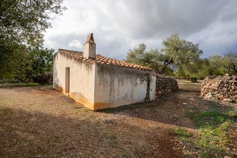 Finca i Ulldecona, Tarragona, Ulldecona - € 39.000 | Ref: 136 - foto 2