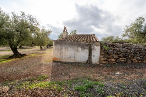 Finca i Ulldecona, Tarragona, Ulldecona - € 39.000 | Ref: 136 - foto 11