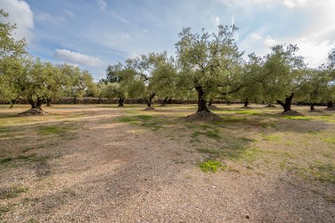 Finca i Ulldecona, Tarragona, Ulldecona - € 39.000 | Ref: 136 - foto 17