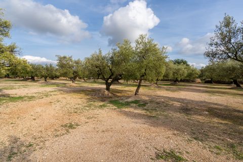Finca i Ulldecona, Tarragona, Ulldecona - € 39.000 | Ref: 136 - foto 16