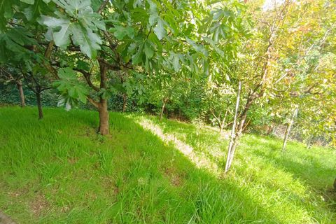Lejlighed i Narni, Terni, Narni - € 120.000 | Ref: Ri.24 - foto 30
