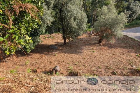 Landejendom i Arcos de Valdevez, Viana do Castelo, Arcos de Valdevez - € 86.000 | Ref: 7125 - foto 12