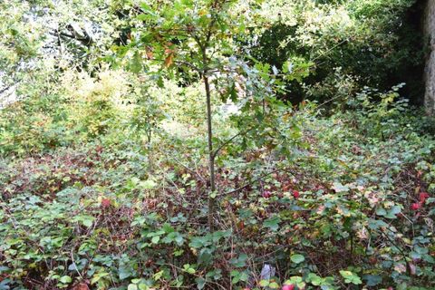 Villa a Bubry, Morbihan, Bubry - € 19.500 | Ref: 560022310 - foto 7