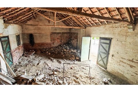 Erhvervsejendom i Alenquer, Lisbon, Alenquer - € 91.000 | Ref: PTC20240103.7 - foto 7