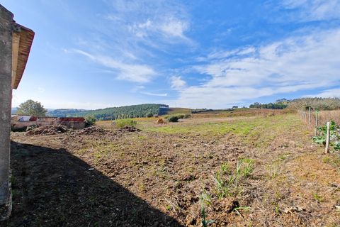 Erhvervsejendom i Alenquer, Lisbon, Alenquer - € 91.000 | Ref: PTC20240103.7 - foto 8