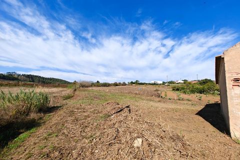 Erhvervsejendom i Alenquer, Lisbon, Alenquer - € 91.000 | Ref: PTC20240103.7 - foto 10
