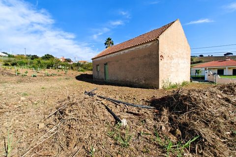 Erhvervsejendom i Alenquer, Lisbon, Alenquer - € 91.000 | Ref: PTC20240103.7 - foto 11