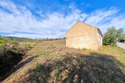 Erhvervsejendom i Alenquer, Lisbon, Alenquer - € 91.000 | Ref: PTC20240103.7 - foto 12