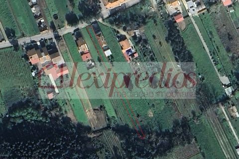 Helårsgrund i Oia, Aveiro, Oia - € 25.000 | Ref: AG 4218 - foto 4