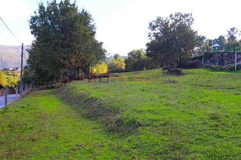 Helårsgrund i Cinfaes, Viseu, Cinfaes - € 110.000 | Ref: 00659FR - foto 2
