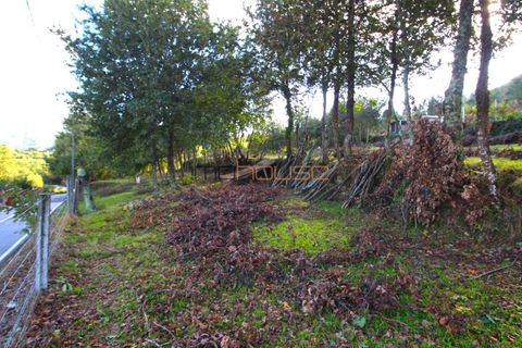 Helårsgrund i Cinfaes, Viseu, Cinfaes - € 110.000 | Ref: 00659FR - foto 5