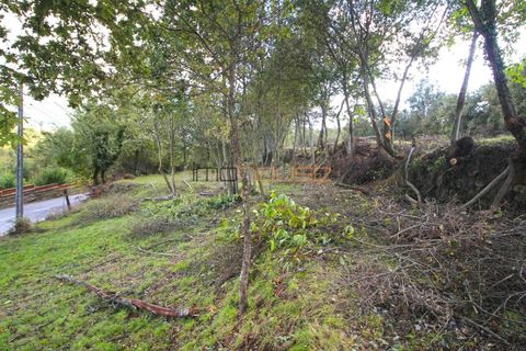 Helårsgrund i Cinfaes, Viseu, Cinfaes - € 110.000 | Ref: 00659FR - foto 6
