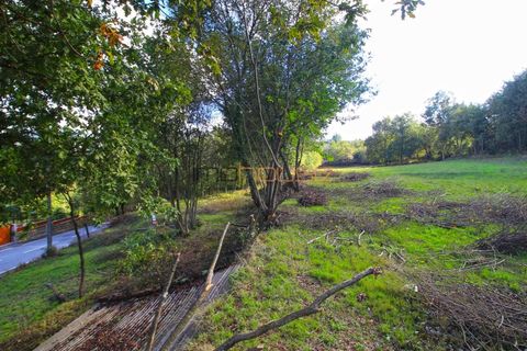 Helårsgrund i Cinfaes, Viseu, Cinfaes - € 110.000 | Ref: 00659FR - foto 8