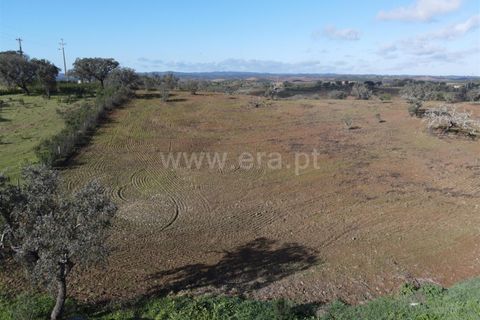 Helårsgrund i Ourique, Beja, Ourique - € 120.000 | Ref: 359230364 - foto 2
