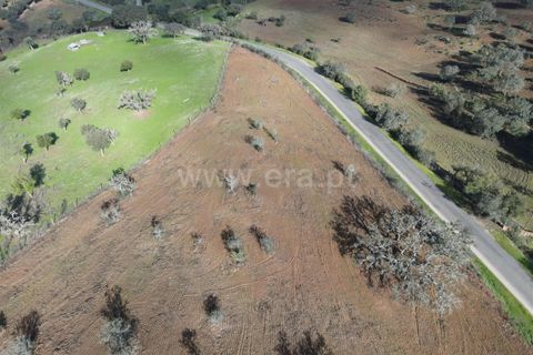 Helårsgrund i Ourique, Beja, Ourique - € 120.000 | Ref: 359230364 - foto 6