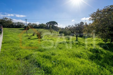 Landejendom i Leiria, Leiria, Leiria - € 152.000 | Ref: SAFTI:005981 - foto 1