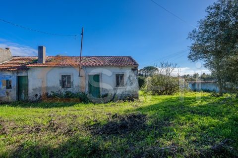 Landejendom i Leiria, Leiria, Leiria - € 152.000 | Ref: SAFTI:005981 - foto 2