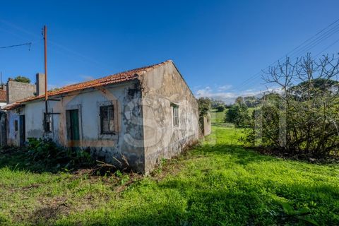 Landejendom i Leiria, Leiria, Leiria - € 152.000 | Ref: SAFTI:005981 - foto 9